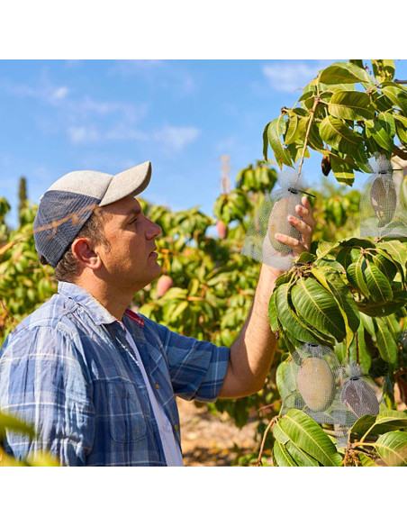 20 Piezas Bolsa de Protección de Frutas Acero Inoxidable 8x12 y 6x8