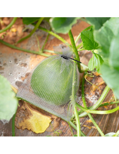 20 Piezas Bolsa de Protección de Frutas Acero Inoxidable 8x12 y 6x8