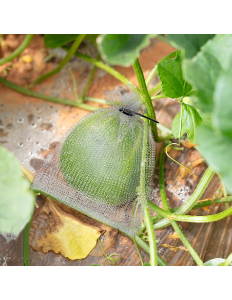 20 Piezas Bolsa de Protección de Frutas Acero Inoxidable 8x12 y 6x8