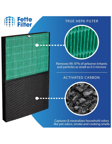 Juego de Filtros de Reemplazo Fette Filter para Purificador Coway Airmega ProX Max 2 HEPA y Carbón Activo