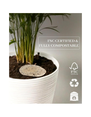 Filtros de café desechables Brew Choice 1000 unidades 6.35 cm