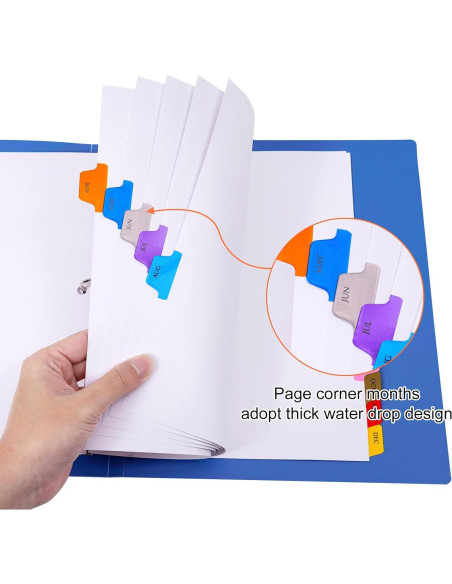 Separadores Mensuales Multicolor LE PAPILLION 12 Pestañas A4