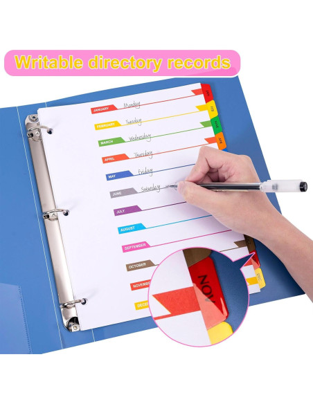 Separadores Mensuales Multicolor LE PAPILLION 12 Pestañas A4