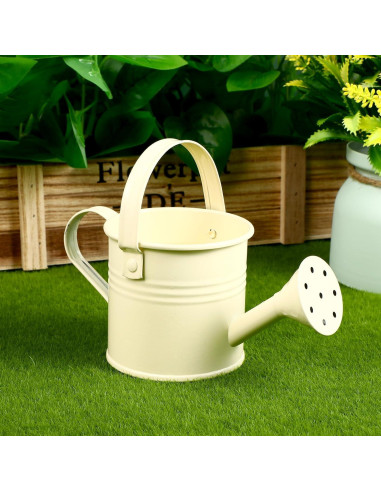 6 Regaderas para Niños de Hierro Coloridas 0.49 kg