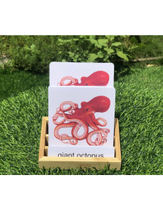 Bandeja de Tarjetas de Tres Partes KIHACO - Madera de Bambú 2