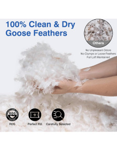 Juego de 2 almohadas de plumas de ganso Zibroges tamaño Queen 2