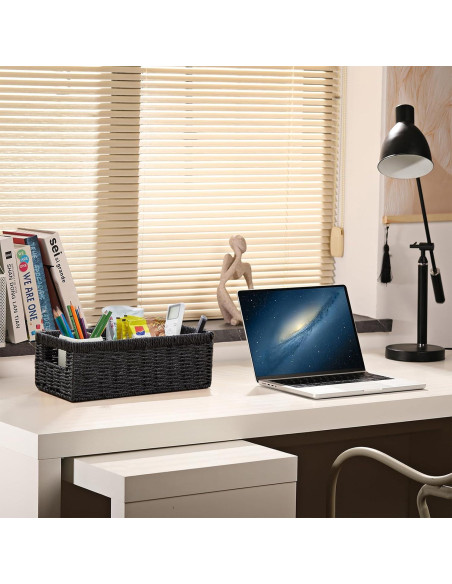 Cesta de Almacenamiento Vagusicc - Juego de 2, Negro, 36.2x15.9x12.1 cm