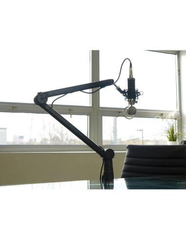 Soporte de Micrófono Rockville RG30 Boom Arm Ajustable 76.2 cm