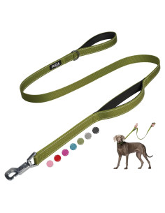 Correa para Perros Fida 1.22m Alta Resistencia Verde