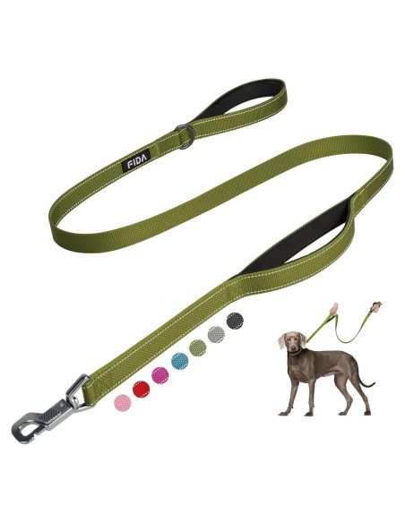 Correa para Perros Fida 1.22m Alta Resistencia Verde