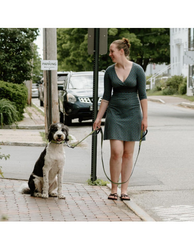 Correa para Perros Fida 1.22m Alta Resistencia Verde