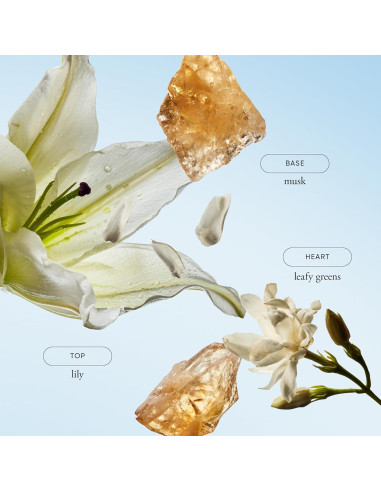 Gel de Baño Hidratante Philosophy Pure Grace 500ml - Vegano