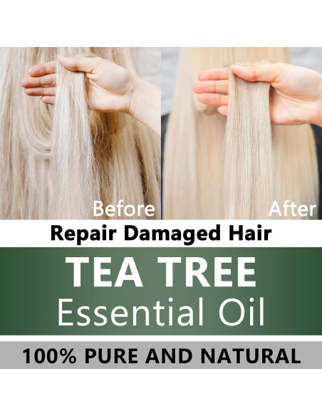 Aceite Esencial de Árbol de Té 100% Puro 97.6 ml para Aromaterapia