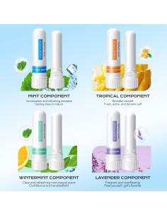 Varilla de Inhalador Nasal LEESENEVO - 4 Sabores Naturales 2