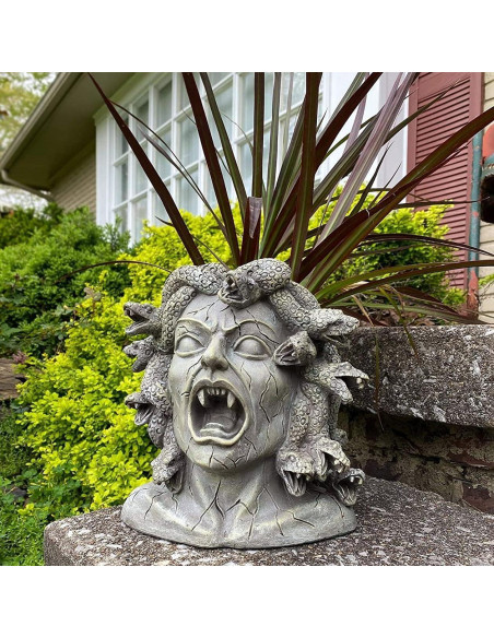 Maceta de Resina Medusa Darware 26.7 cm Decoración Jardín