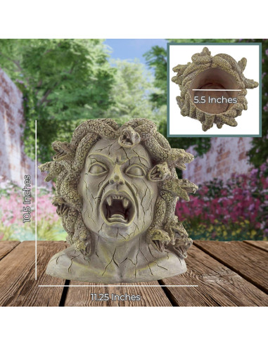 Maceta de Resina Medusa Darware 26.7 cm Decoración Jardín