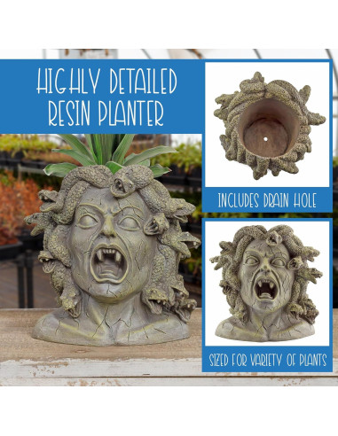 Maceta de Resina Medusa Darware 26.7 cm Decoración Jardín