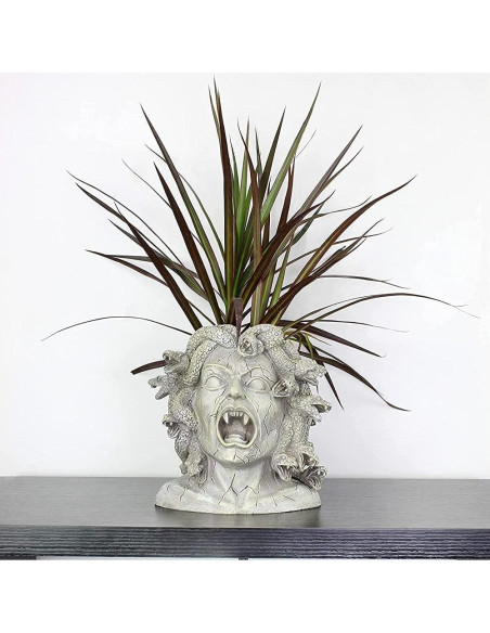 Maceta de Resina Medusa Darware 26.7 cm Decoración Jardín