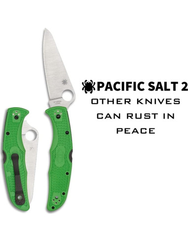 Cuchillo Spyderco Pacific Salt 2 Verde LC200N 9.6 cm Antideslizante