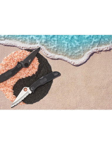 Cuchillo Spyderco Pacific Salt 2 Verde LC200N 9.6 cm Antideslizante