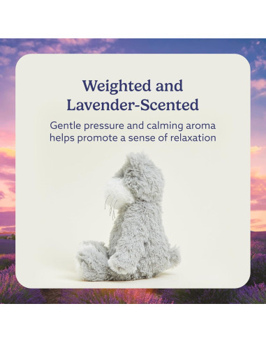 Warmies Gato Peluche Calentable 33 cm - Juguete Seguro para Niños