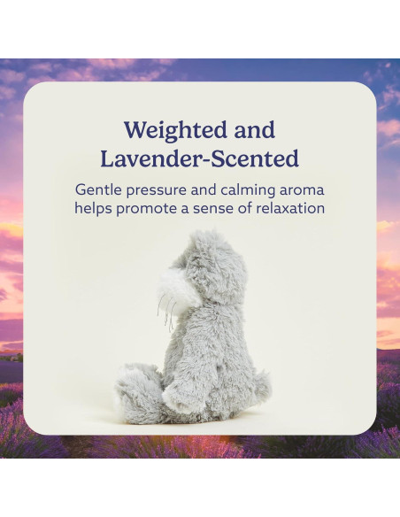 Warmies Gato Peluche Calentable 33 cm - Juguete Seguro para Niños