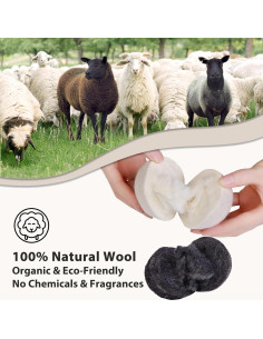 Bolas de Secadora de Lana Tesoros Diarios 12 Unidades 6.99 cm 2