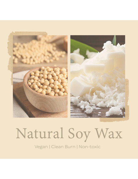 Vela Perfumada Sense Island Vainilla Cashmere 50+ Hrs