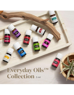 Set de Aceites Esenciales 100% Puros Young Living - 10 Mezclas 2