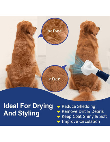 Secador de Pelo 3-en-1 POPET para Mascotas - Silencioso, 300W