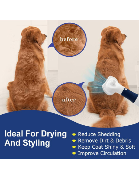 Secador de Pelo 3-en-1 POPET para Mascotas - Silencioso, 300W