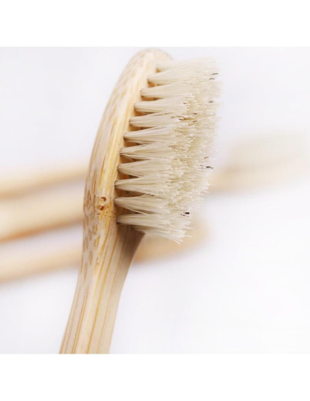 Cepillo de Dientes de Bambú Colincie - Cerdas de Jabalí Medianas - 8 Piezas Cepillo de Dientes de Bambú Colincie - Cerdas de Jabalí Medianas - 8 Piezas