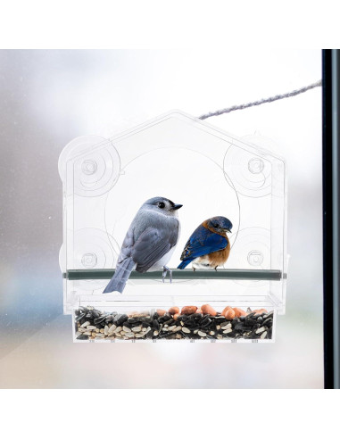 Comedero para Aves de Ventana PATIKIL Acrílico 20.3x10.2cm