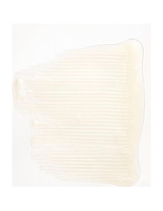 Champú Hidratante Briogeo No Desesperes 59 ml Cabello Seco 2