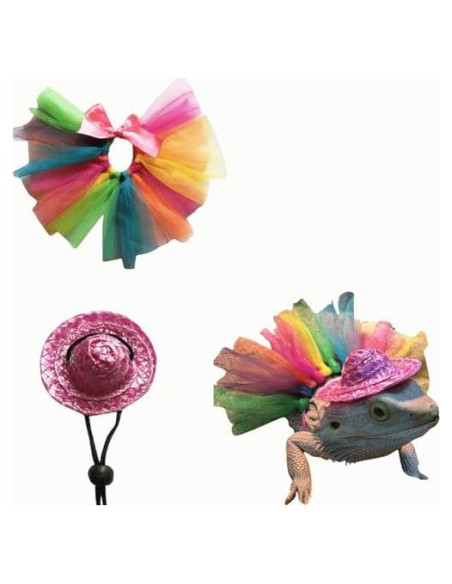 Disfraz de Halloween para Dragón Barbudo Copfeu - Sombrero y Falda Tutu