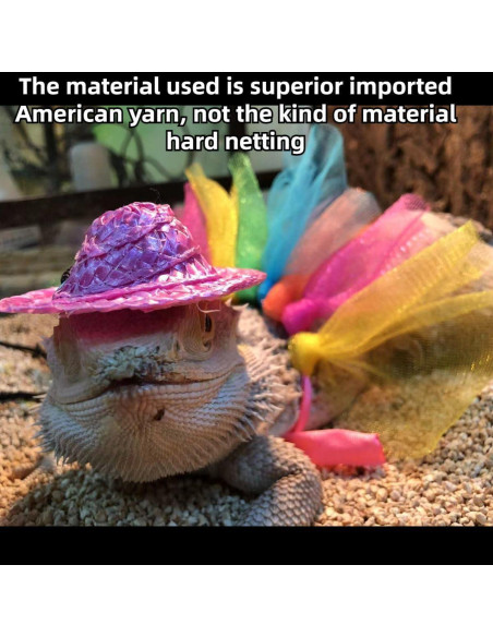 Disfraz de Halloween para Dragón Barbudo Copfeu - Sombrero y Falda Tutu