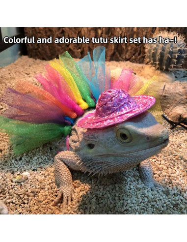 Disfraz de Halloween para Dragón Barbudo Copfeu - Sombrero y Falda Tutu