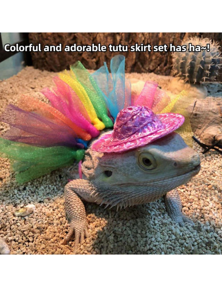 Disfraz de Halloween para Dragón Barbudo Copfeu - Sombrero y Falda Tutu