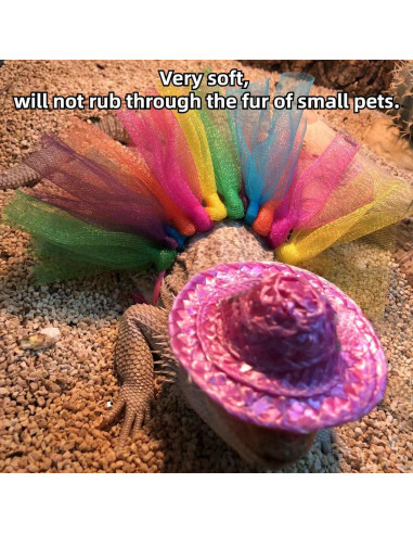 Disfraz de Halloween para Dragón Barbudo Copfeu - Sombrero y Falda Tutu