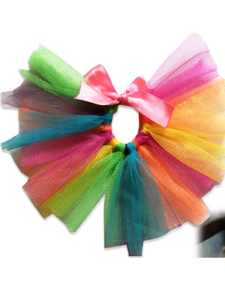 Disfraz de Halloween para Dragón Barbudo Copfeu - Sombrero y Falda Tutu