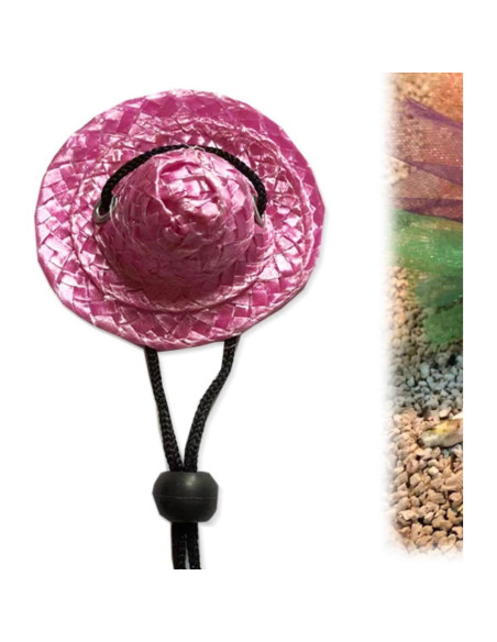 Disfraz de Halloween para Dragón Barbudo Copfeu - Sombrero y Falda Tutu