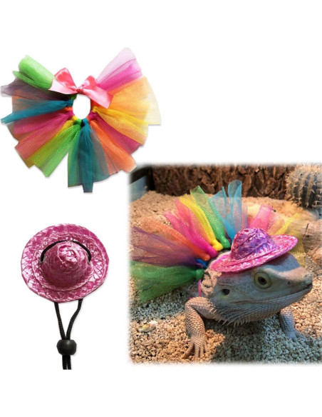 Disfraz de Halloween para Dragón Barbudo Copfeu - Sombrero y Falda Tutu