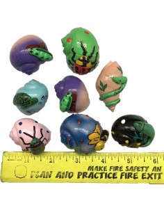 Conchas de Cangrejo Ermitaño Pintadas 8PC 5cm para DIY 2