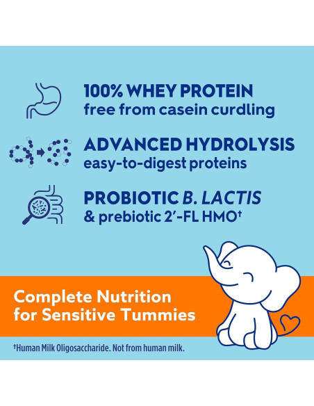 Fórmula Infantil Good Start Dr. Brown's Gentle Pro 348g