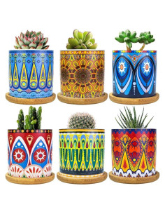 Macetas de Suculentas Mandala Ascrafter - Paquete de 6 con Drenaje