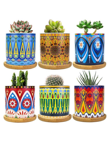 Macetas de Suculentas Mandala Ascrafter - Paquete de 6 con Drenaje
