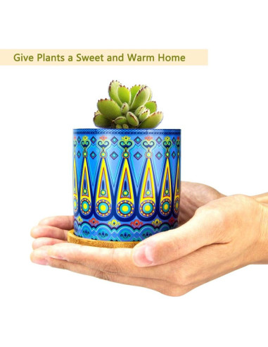 Macetas de Suculentas Mandala Ascrafter - Paquete de 6 con Drenaje