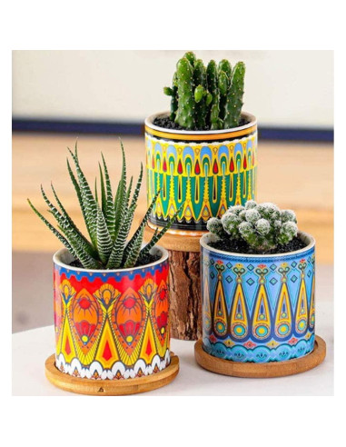 Macetas de Suculentas Mandala Ascrafter - Paquete de 6 con Drenaje