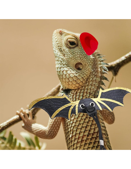 Conjunto de Arnés y Correa para Dragón Barbudo Tezuyok S/M/L