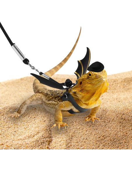 Conjunto de Arnés y Correa para Dragón Barbudo Tezuyok S/M/L